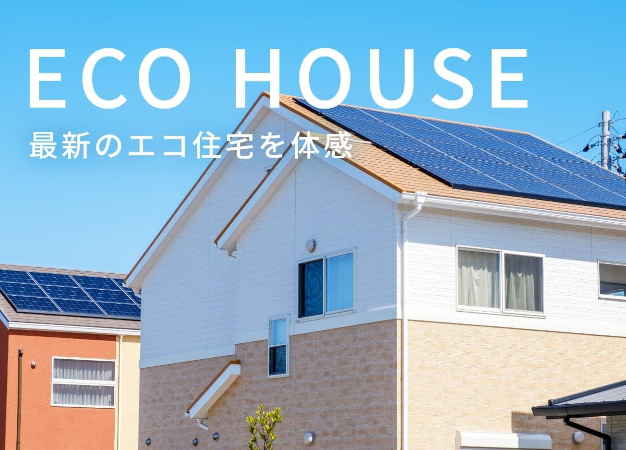 戸建ての家が映っている様子